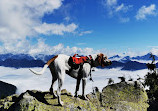 Mount Seymour Trail