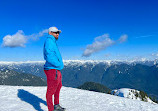 Mount Seymour Trail