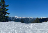 Mount Seymour Trail