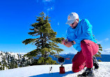 Mount Seymour Trail