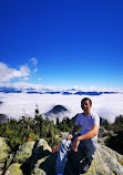 Mount Seymour Trail