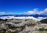 Mount Seymour Trail