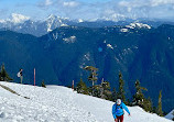 Mount Seymour Trail