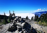 Mount Seymour Trail