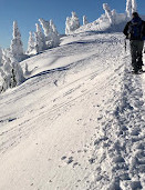 Mount Seymour Trail