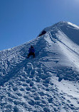 Mount Seymour Trail