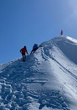 Mount Seymour Trail