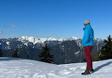 Mount Seymour Trail