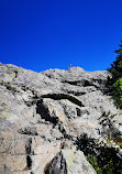 Mount Seymour Trail