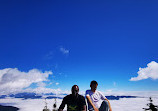 Mount Seymour Trail