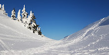 Mount Seymour Trail