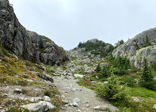 Mount Seymour Trail