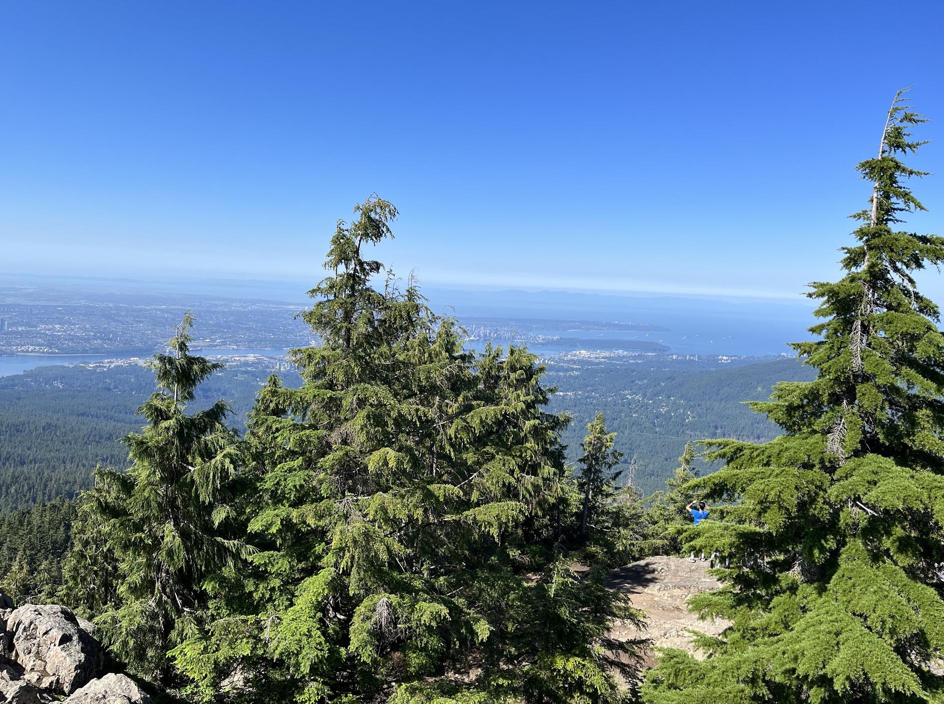 Dog Mountain Trail