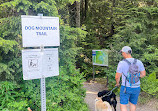 Dog Mountain Trail