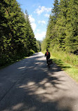 Seymour Valley Trail