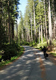 Seymour Valley Trail