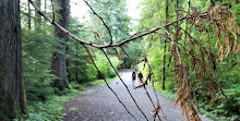 Seymour Valley Trail