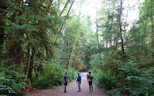 Seymour Valley Trail