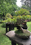 Japanese Garden