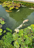 Japanese Garden Augsburg