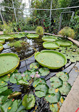 Japanese Garden Augsburg