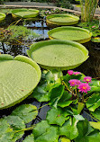 Japanese Garden Augsburg