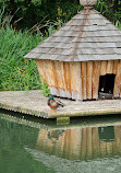 Japanese Garden Augsburg