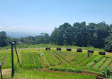 Eden Nature Park & Resort - Corporate Office