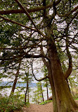 Whytecliff Lookout Point