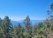 West Knob Lookout