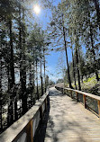 Trestle Bridge at the Mountain Path