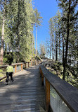 Trestle Bridge at the Mountain Path