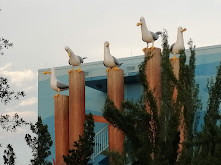 Disney's Art of Animation Resort