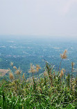 People's Park in the Sky