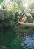 Audubon Zoo