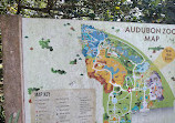 Audubon Zoo