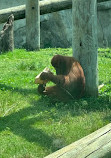 Audubon Zoo