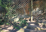 Audubon Zoo