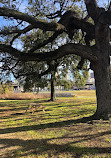 Lafitte Greenway