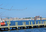 Fort McHenry National Monument and Historic Shrine