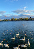 Sheepshead Bay Piers