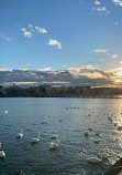 Sheepshead Bay Piers