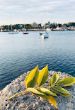 Sheepshead Bay Piers