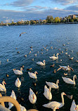 Sheepshead Bay Piers