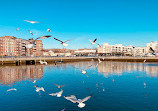 Sheepshead Bay Piers