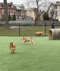 Washington Park Dog Run