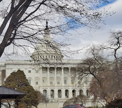 US Capitol Grounds