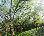 Parc des Buttes-Chaumont