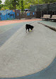 Chelsea Waterside Dog Park