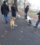 105th Street Dog Run